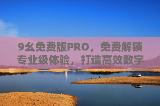 9幺免费版PRO，免费解锁专业级体验，打造高效数字生活