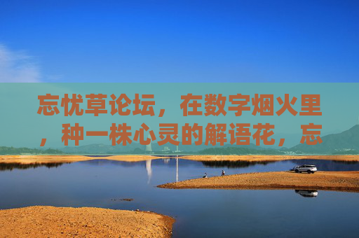 忘忧草论坛，在数字烟火里，种一株心灵的解语花，忘忧草论坛，数字烟火里种心灵解语花