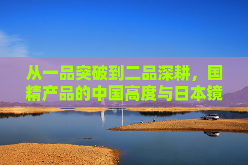 从一品突破到二品深耕，国精产品的中国高度与日本镜鉴，国精产品，从一品突破到二品深耕的中国高度与日本镜鉴