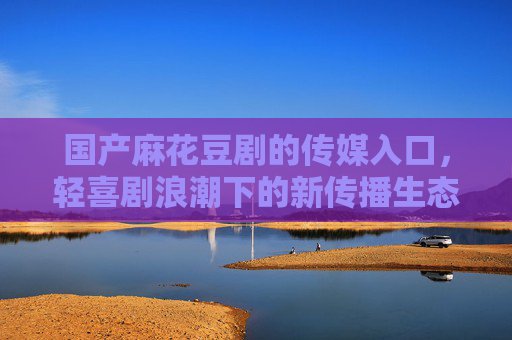 国产麻花豆剧的传媒入口，轻喜剧浪潮下的新传播生态，麻花豆剧，轻喜剧浪潮下的传媒入口与新传播生态