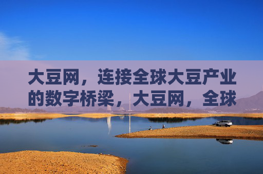 大豆网，连接全球大豆产业的数字桥梁，大豆网，全球大豆产业的数字桥梁