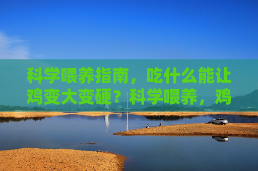 科学喂养指南，吃什么能让鸡变大变硬？科学喂养，鸡变大变硬的饲料选择