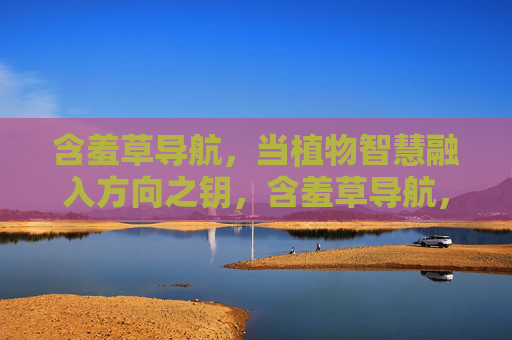 含羞草导航，当植物智慧融入方向之钥，含羞草导航，植物智慧铸就方向之钥