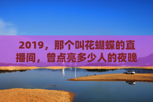 2019，那个叫花蝴蝶的直播间，曾点亮多少人的夜晚，2019，花蝴蝶直播间，曾点亮多少人的夜晚