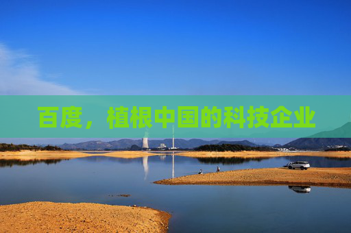 百度，植根中国的科技企业