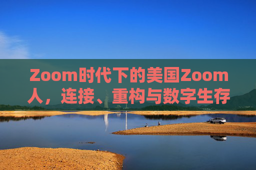 Zoom时代下的美国Zoom人，连接、重构与数字生存，Zoom时代美国Zoom人，连接、重构与数字生存