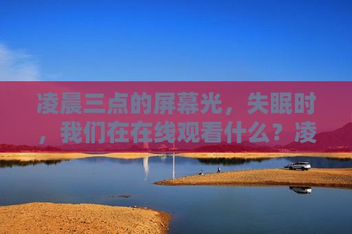 凌晨三点的屏幕光，失眠时，我们在在线观看什么？凌晨三点的屏幕光，失眠者的在线观看