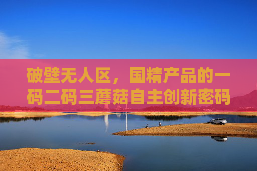 破壁无人区，国精产品的一码二码三蘑菇自主创新密码，破壁无人区，国精产品一码二码三蘑菇的自主创新密码