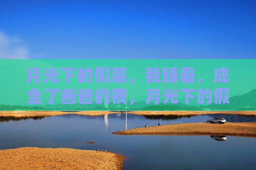 月光下的假装，我睡着，成全了爸爸的夜，月光下的假装，成全爸爸的夜