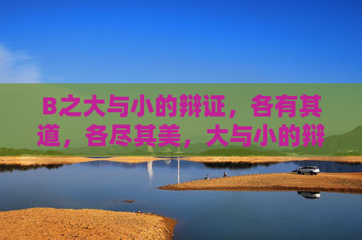 B之大与小的辩证，各有其道，各尽其美，大与小的辩证，各尽其美