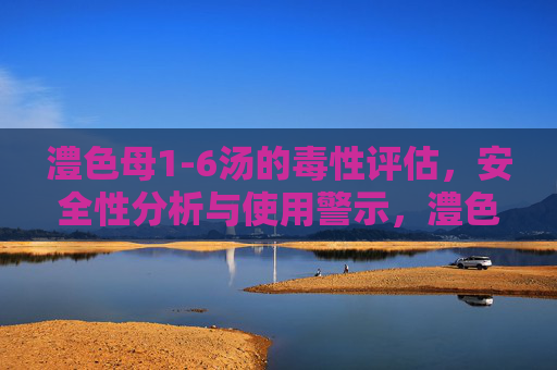 澧色母1-6汤的毒性评估，安全性分析与使用警示，澧色母1-6汤毒性评估、安全性分析及使用警示