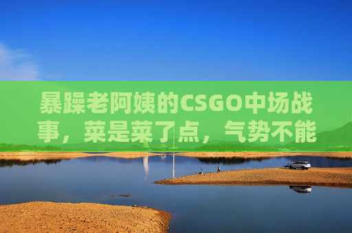 暴躁老阿姨的CSGO中场战事，菜是菜了点，气势不能输！暴躁老阿姨的CSGO中场战事，菜是菜了点，气势必须拉满！