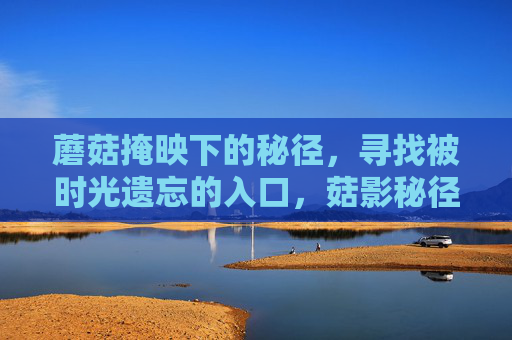 蘑菇掩映下的秘径，寻找被时光遗忘的入口，菇影秘径，时光遗忘的入口