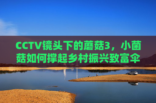 CCTV镜头下的蘑菇3，小菌菇如何撑起乡村振兴致富伞，CCTV镜头下的蘑菇3，小菌菇撑起乡村振兴致富伞