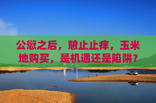 公愆之后，憩止止痒，玉米地购买，是机遇还是陷阱？玉米地购买，是机遇还是陷阱？
