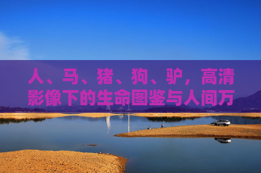 人、马、猪、狗、驴，高清影像下的生命图鉴与人间万象，人马猪狗驴，高清影像中的生命图鉴与人间万象