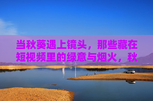 当秋葵遇上镜头，那些藏在短视频里的绿意与烟火，秋葵遇上镜头，短视频里的绿意烟火