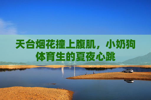 天台烟花撞上腹肌，小奶狗体育生的夏夜心跳