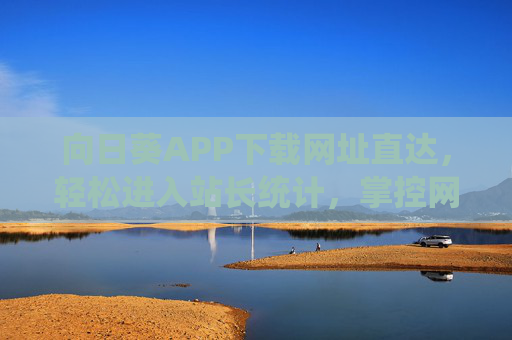 向日葵APP下载网址直达，轻松进入站长统计，掌控网站数据动态，向日葵APP下载直达，轻松掌控网站数据动态