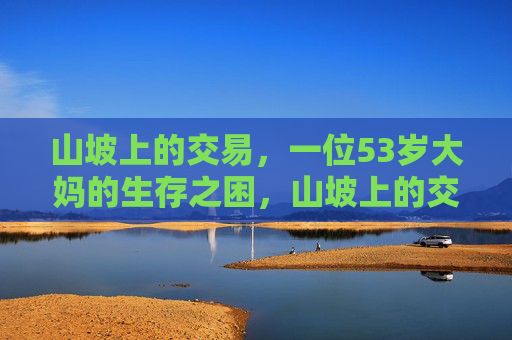 山坡上的交易，一位53岁大妈的生存之困，山坡上的交易，53岁大妈的生存之困