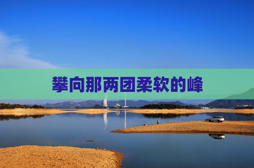 攀向那两团柔软的峰