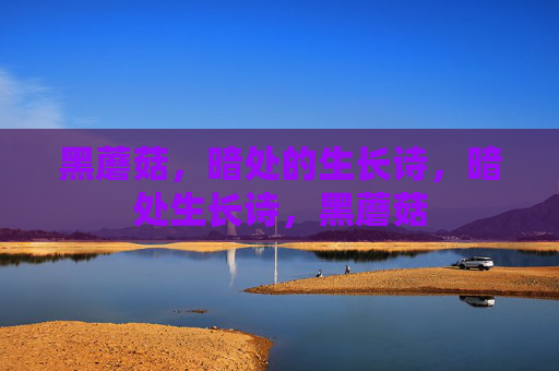 黑蘑菇，暗处的生长诗，暗处生长诗，黑蘑菇