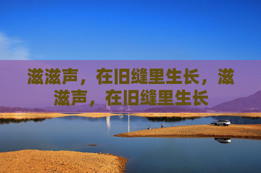 滋滋声，在旧缝里生长，滋滋声，在旧缝里生长