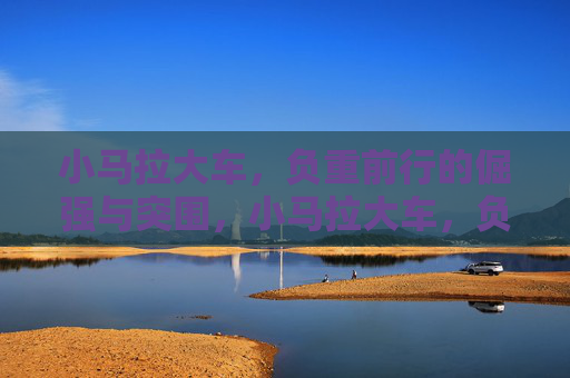 小马拉大车，负重前行的倔强与突围，小马拉大车，负重倔强突围