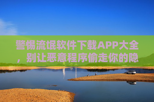 警惕流氓软件下载APP大全，别让恶意程序偷走你的隐私与财产安全，警惕流氓软件下载APP大全，守护你的隐私与财产安全