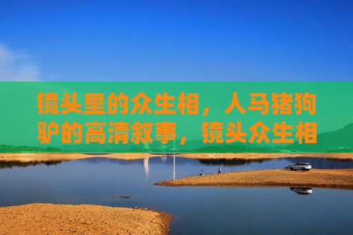 镜头里的众生相，人马猪狗驴的高清叙事，镜头众生相，人马猪狗驴高清叙事