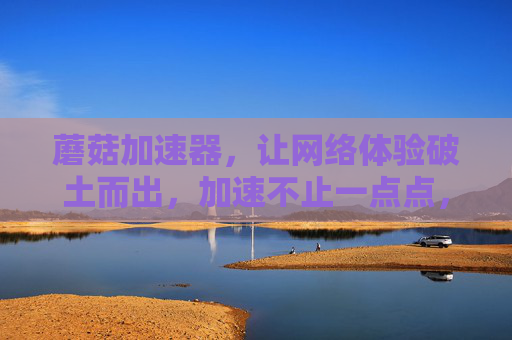 蘑菇加速器，让网络体验破土而出，加速不止一点点，蘑菇加速器，破土而出的网络加速，不止一点点