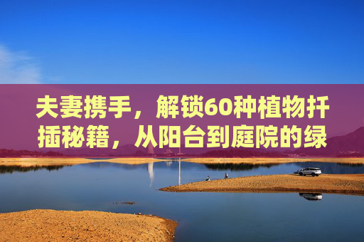 夫妻携手，解锁60种植物扦插秘籍，从阳台到庭院的绿色浪漫，夫妻携手60种植物扦插秘籍，从阳台到庭院的绿色浪漫