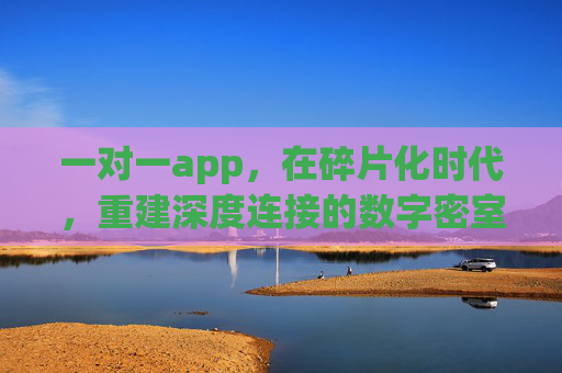一对一app，在碎片化时代，重建深度连接的数字密室，碎片化时代的一对一数字密室，重建深度连接