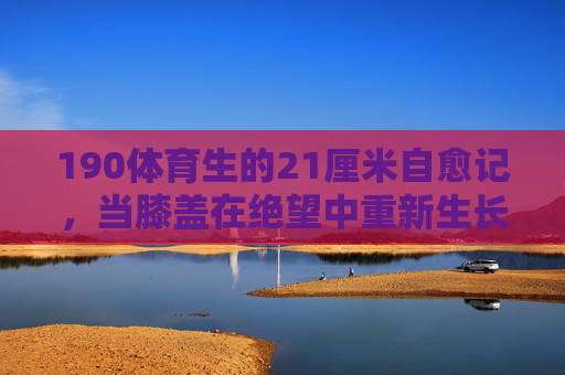 190体育生的21厘米自愈记，当膝盖在绝望中重新生长，190体育生21厘米膝盖重生记