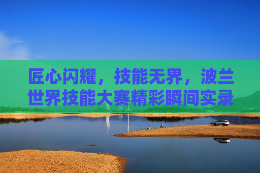 匠心闪耀，技能无界，波兰世界技能大赛精彩瞬间实录，匠心闪耀技能无界，波兰世界技能大赛精彩瞬间