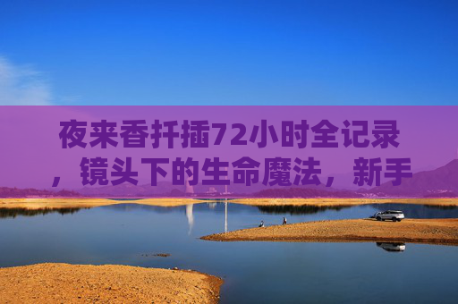 夜来香扦插72小时全记录，镜头下的生命魔法，新手也能秒会！72小时夜来香扦插全记录，生命魔法新手秒会！