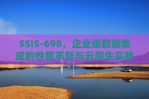 SSIS-698，企业级数据集成的性能革新与云原生实践，SSIS-698，企业级数据集成的性能革新与云原生实践