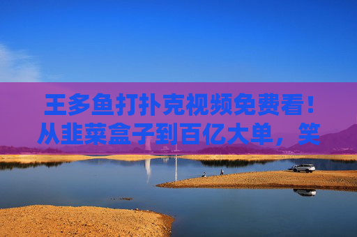 王多鱼打扑克视频免费看！从韭菜盒子到百亿大单，笑点与暴富哲学齐活，王多鱼扑克免费看，韭菜盒子到百亿大单，笑点暴富哲学齐活