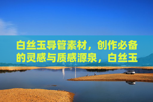 白丝玉导管素材，创作必备的灵感与质感源泉，白丝玉导管素材，创作灵感与质感之源