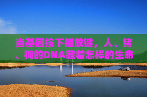 当基因按下播放键，人、猪、狗的DNA藏着怎样的生命密语？基因按下播放键，人猪狗DNA的生命密语