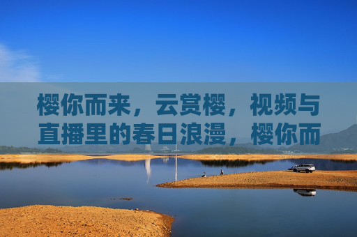 樱你而来，云赏樱，视频与直播里的春日浪漫，樱你而来，云赏樱的春日浪漫
