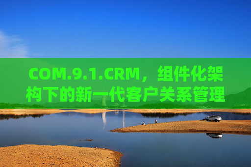 COM.9.1.CRM，组件化架构下的新一代客户关系管理革新，组件化架构下的新一代CRM革新