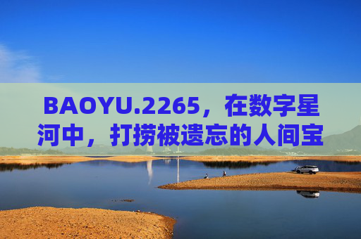 BAOYU.2265，在数字星河中，打捞被遗忘的人间宝玉