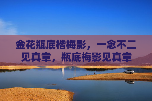 金花瓶底楷梅影，一念不二见真章，瓶底梅影见真章