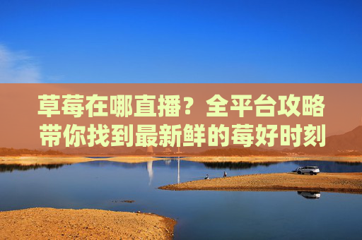 草莓在哪直播？全平台攻略带你找到最新鲜的莓好时刻，草莓直播全平台攻略，找到最新鲜的莓好时刻