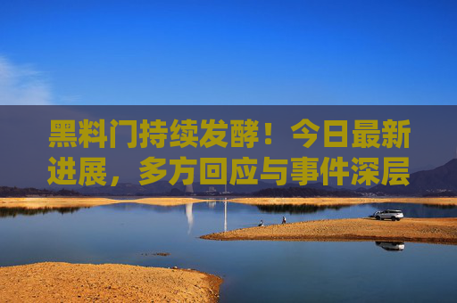 黑料门持续发酵！今日最新进展，多方回应与事件深层解析，黑料门持续发酵，最新进展、多方回应与事件深层解析
