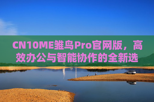CN10ME雏鸟Pro官网版，高效办公与智能协作的全新选择，CN10ME雏鸟Pro官网版，高效办公与智能协作的新选择