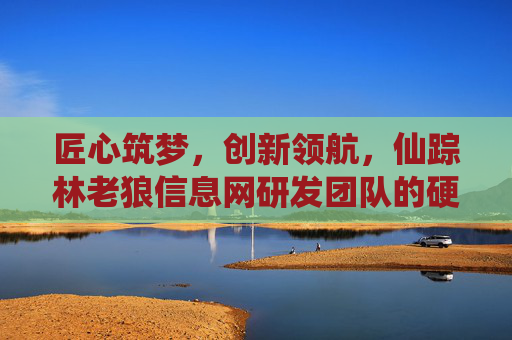 匠心筑梦，创新领航，仙踪林老狼信息网研发团队的硬核实力与初心，匠心筑梦·创新领航，仙踪林老狼信息网研发团队的硬核实力与初心