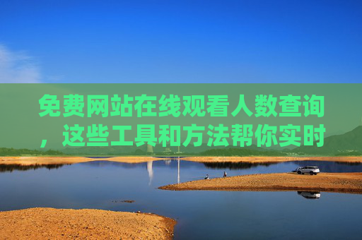 免费网站在线观看人数查询，这些工具和方法帮你实时掌握，免费在线观看人数查询工具与方法，实时掌握网站流量