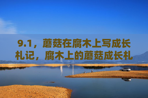 9.1，蘑菇在腐木上写成长札记，腐木上的蘑菇成长札记